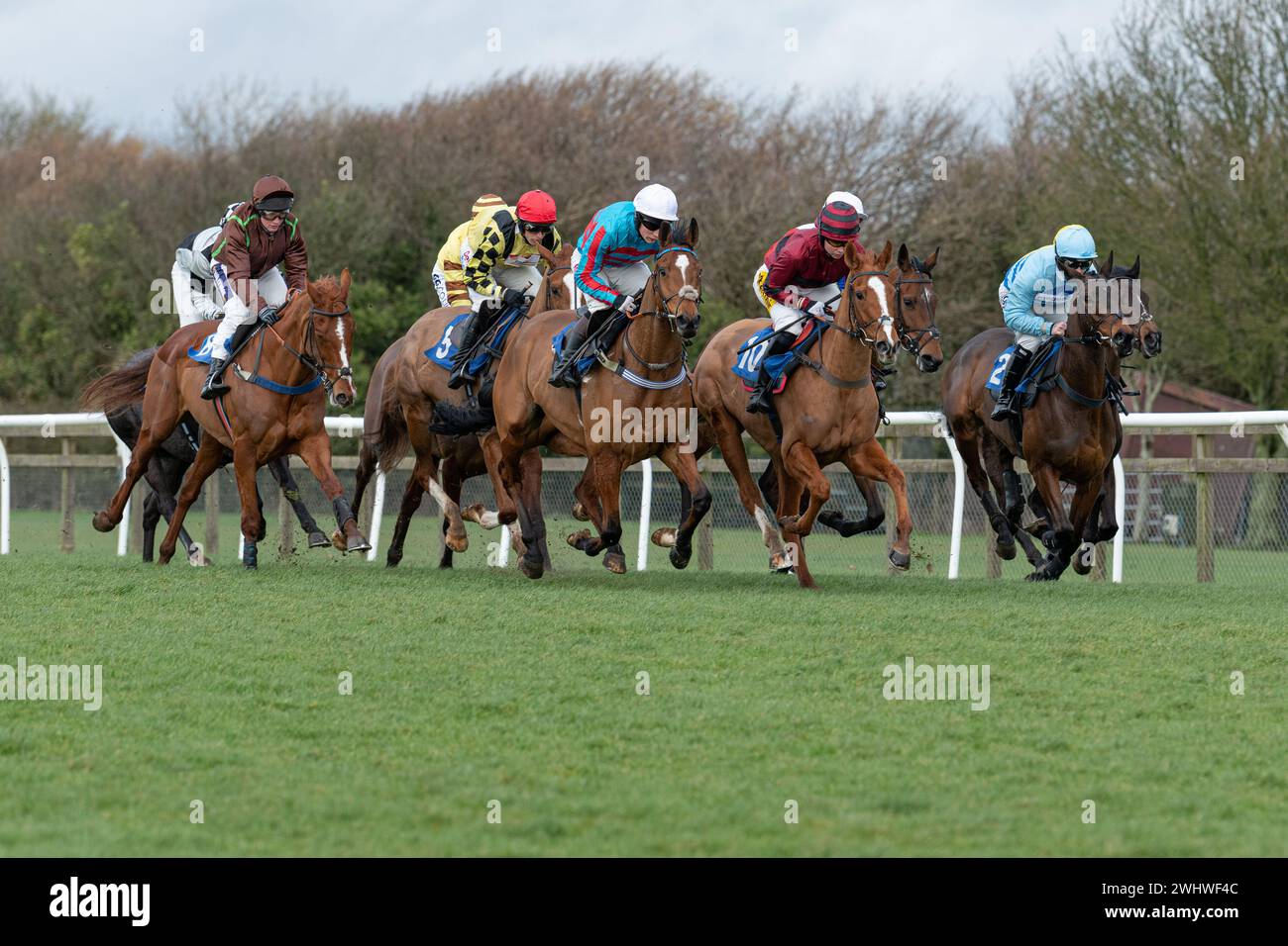 First race at Wincanton February 19th 2022 - Novice Hurdle Stock Photo