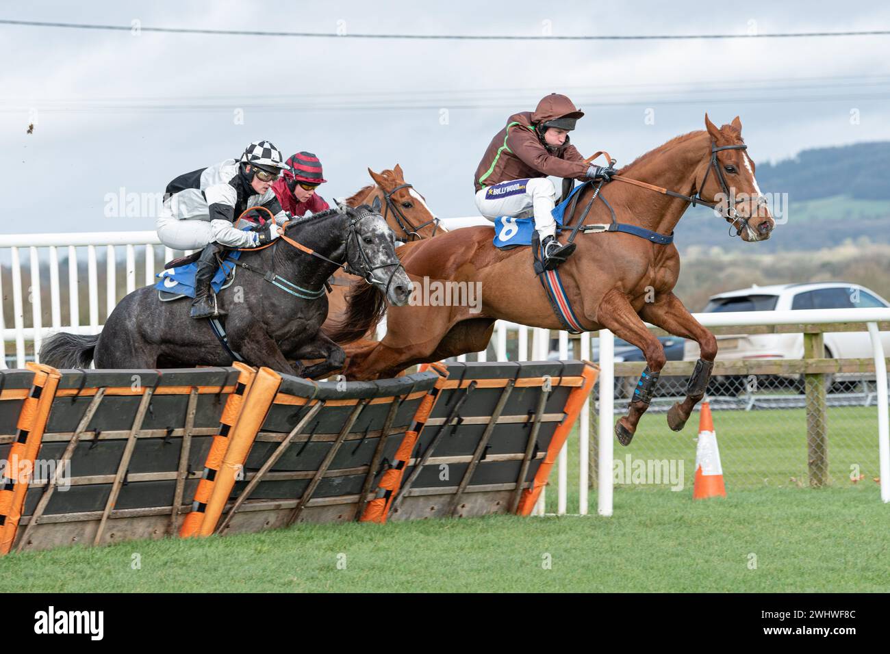 First race at Wincanton February 19th 2022 - Novice Hurdle Stock Photo