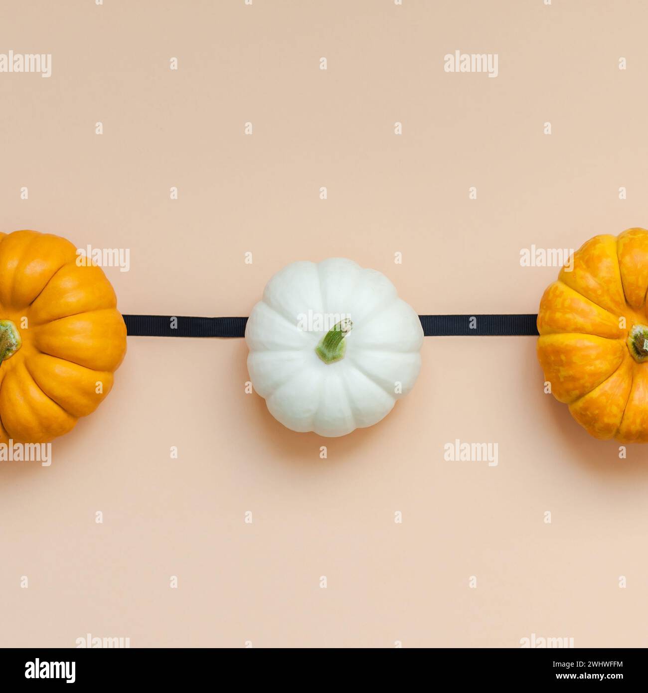 Fall background with small pumpkins Stock Photo - Alamy