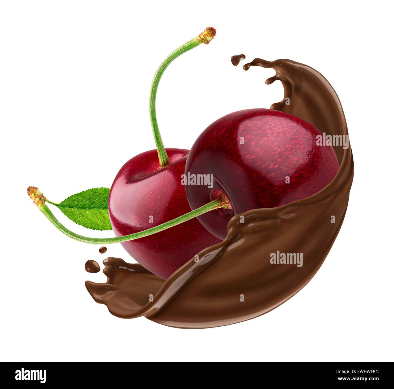 Cherry in chocolate splash isolated on white background Stock Photo Alamy