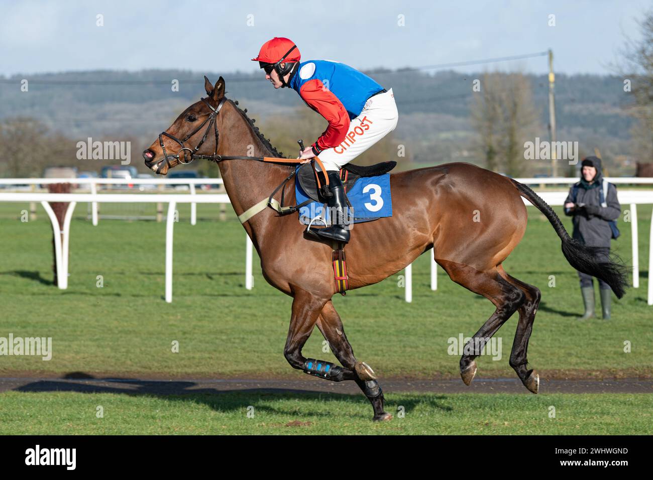 Third race at Wincanton February 19th 2022 Steeple chase Stock Photo