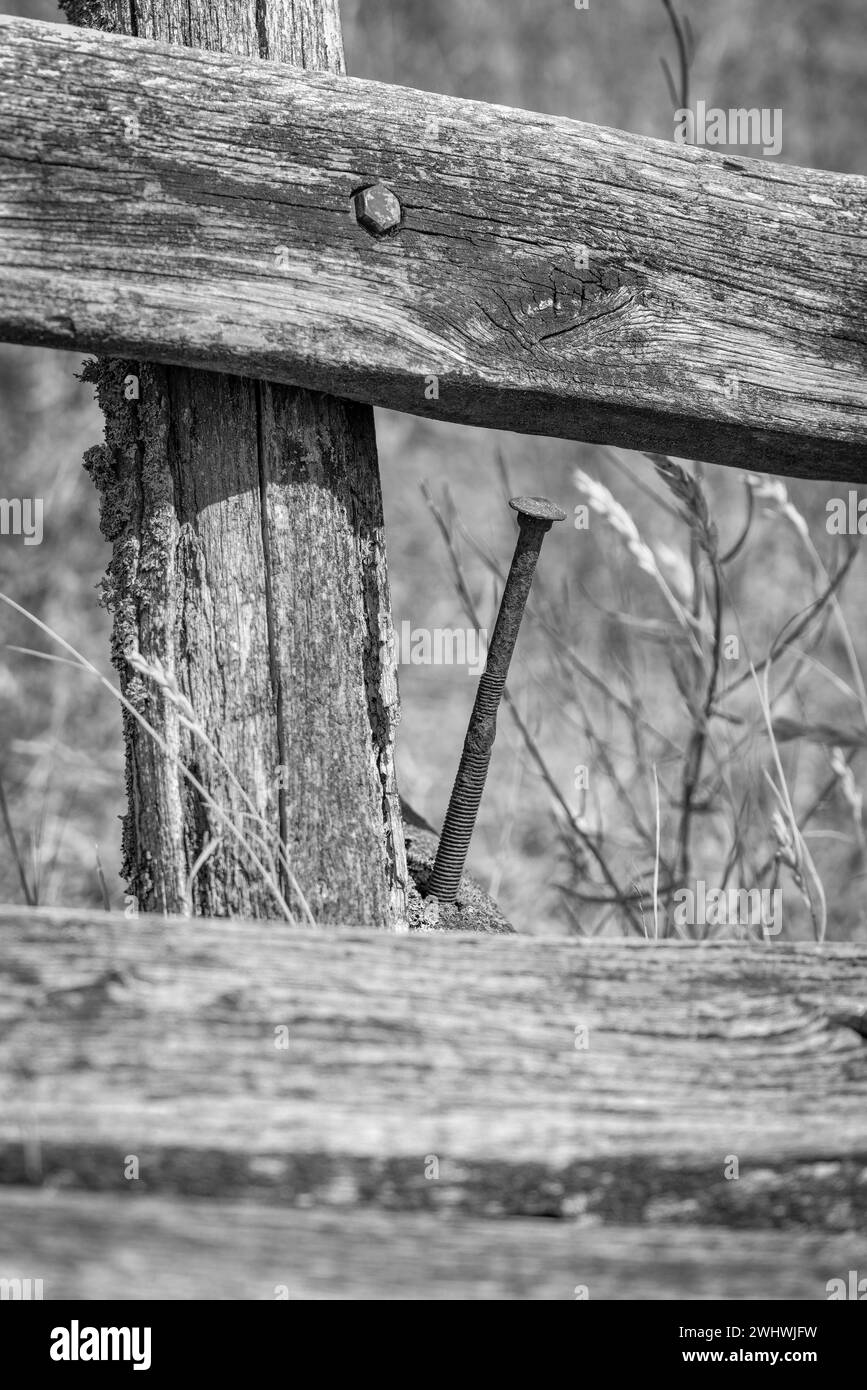 A very long rusty nail in a wooden park bench Stock Photo