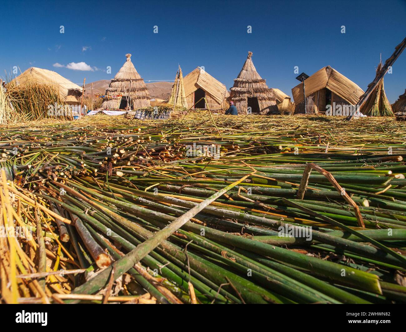 Uros Islands in Lake Titica made of totora reed where indigenous people ...