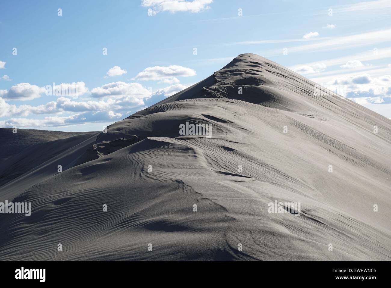 Sand dune formations, Desert Oasis, Bruneau Dunes State Park, Owyhee County, Owyhee Desert, Idaho Stock Photo
