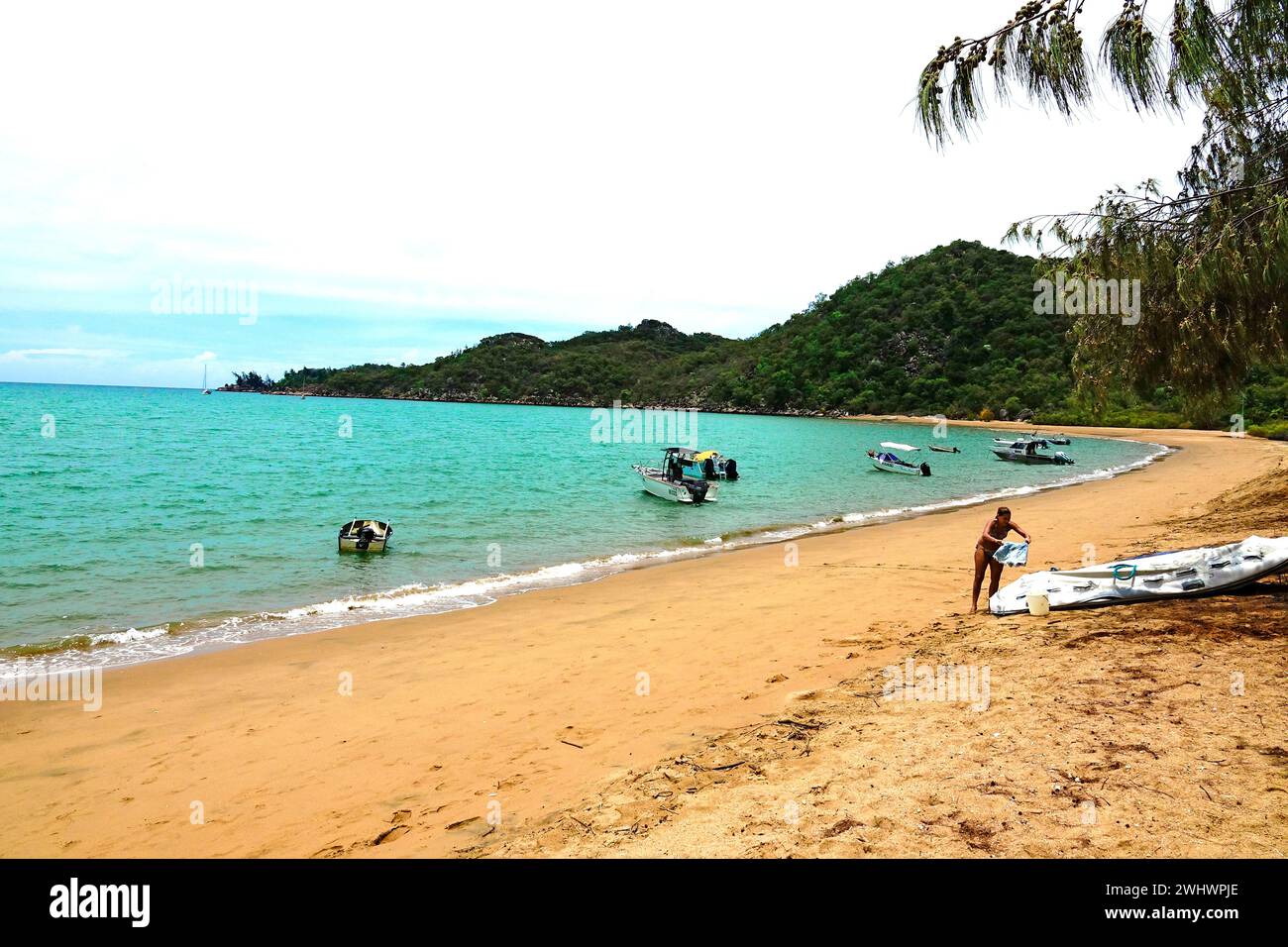 Horseshoe Bay Beach Island Great Barrier Reef Australia