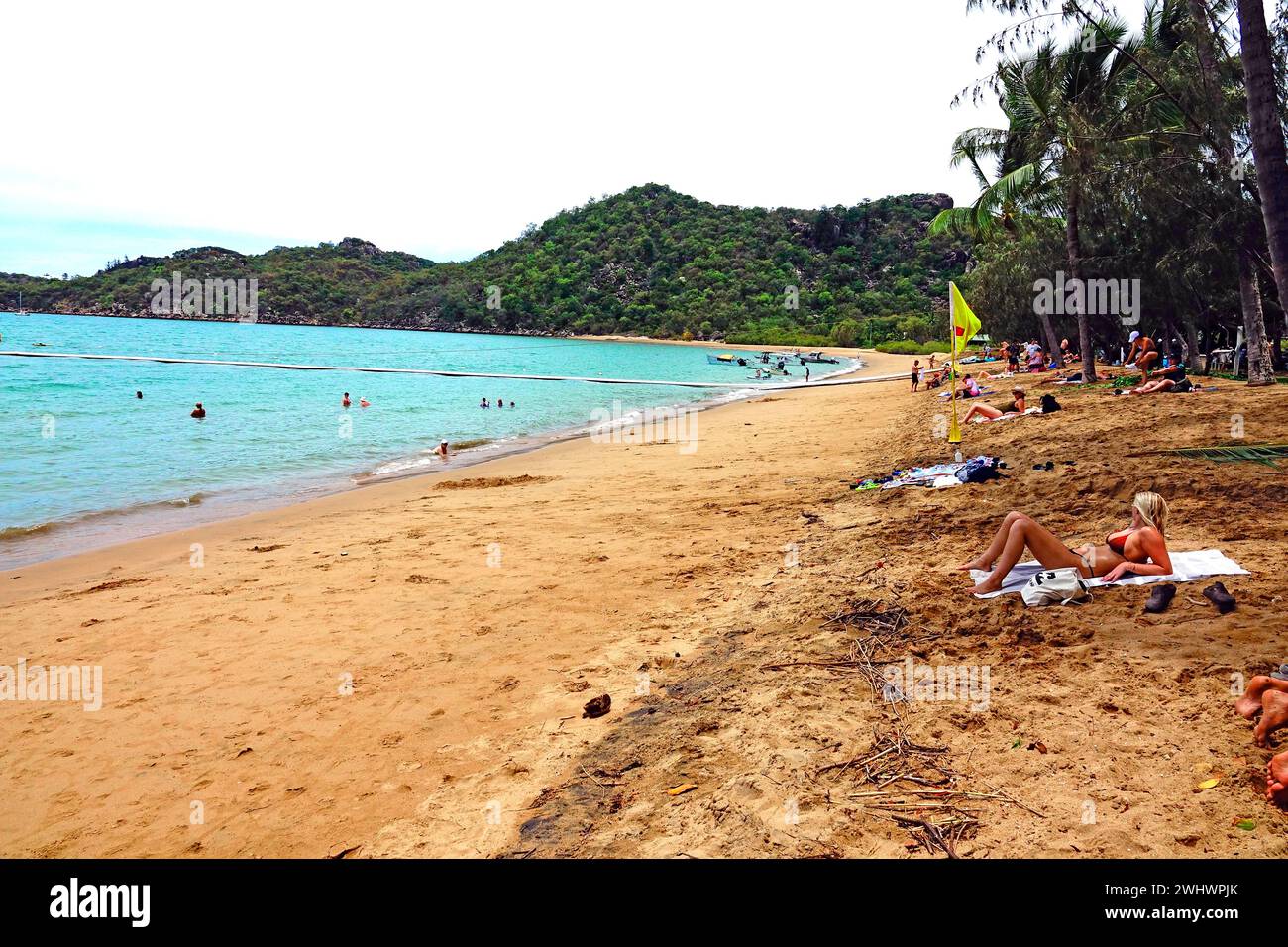 Horseshoe Bay Beach Island Great Barrier Reef Australia