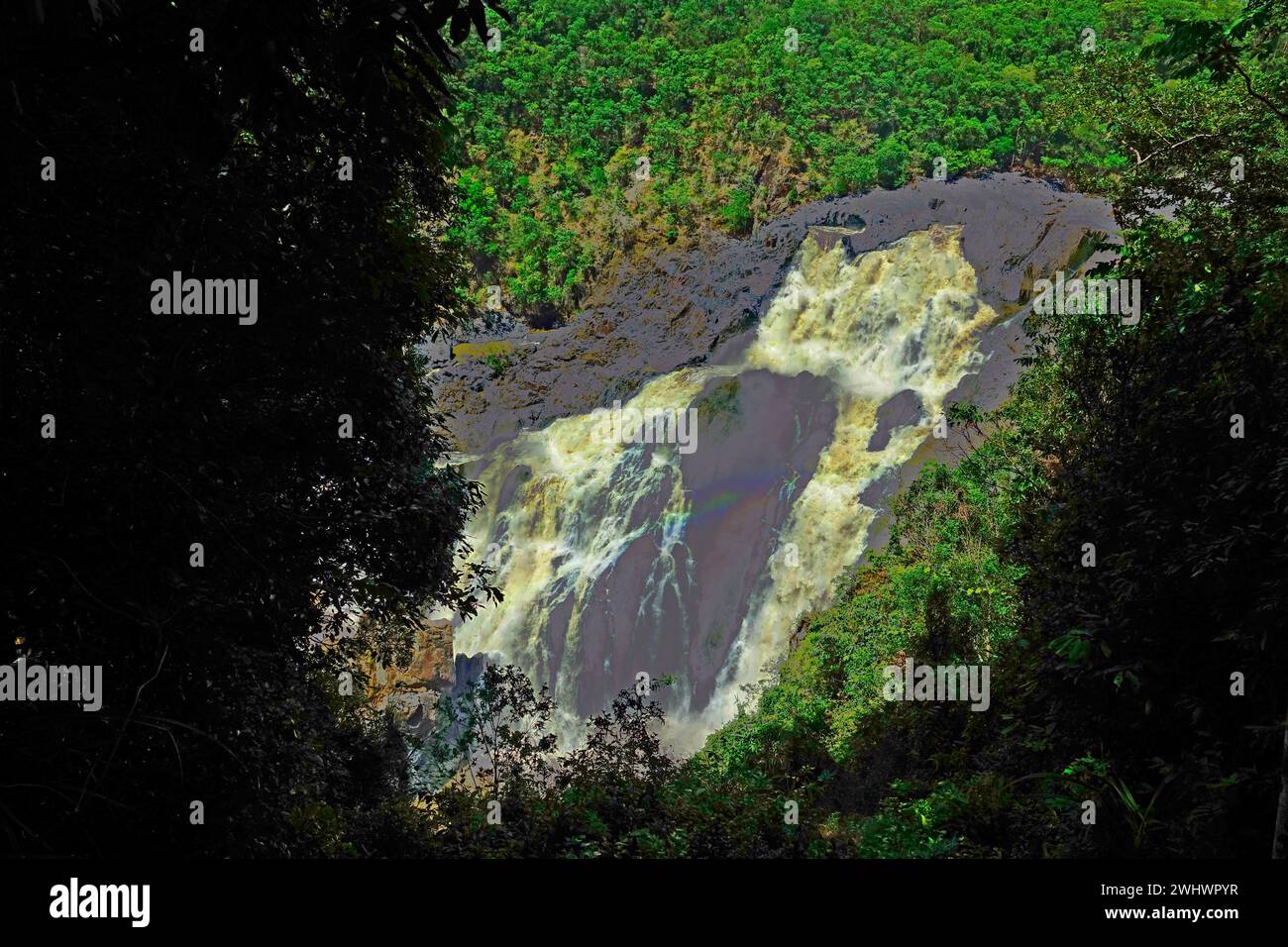 Barron River Skyrail Rainforest Cableway in the Barron Gorge National Park Wet Tropics Cairns Kuranda Australia Queensland Stock Photo