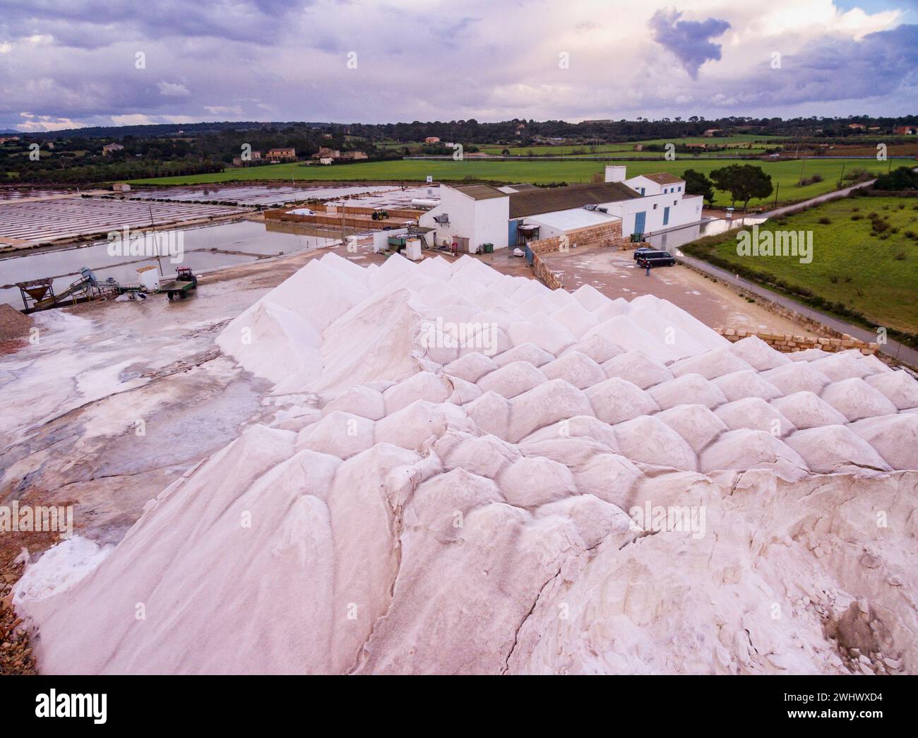 Flor de Sal dâ€™Es Trenc se cosecha artesanalmente de la superficie de las balsas Salinas de Levante Stock Photo