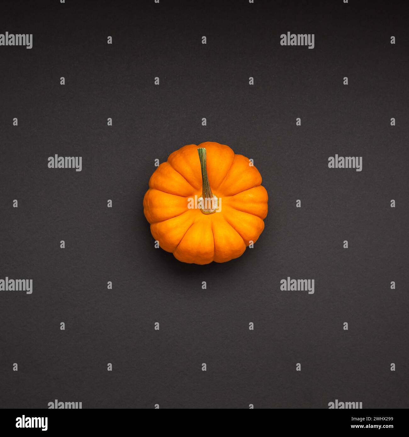 Small orange pumpkin black color paper background Stock Photo - Alamy