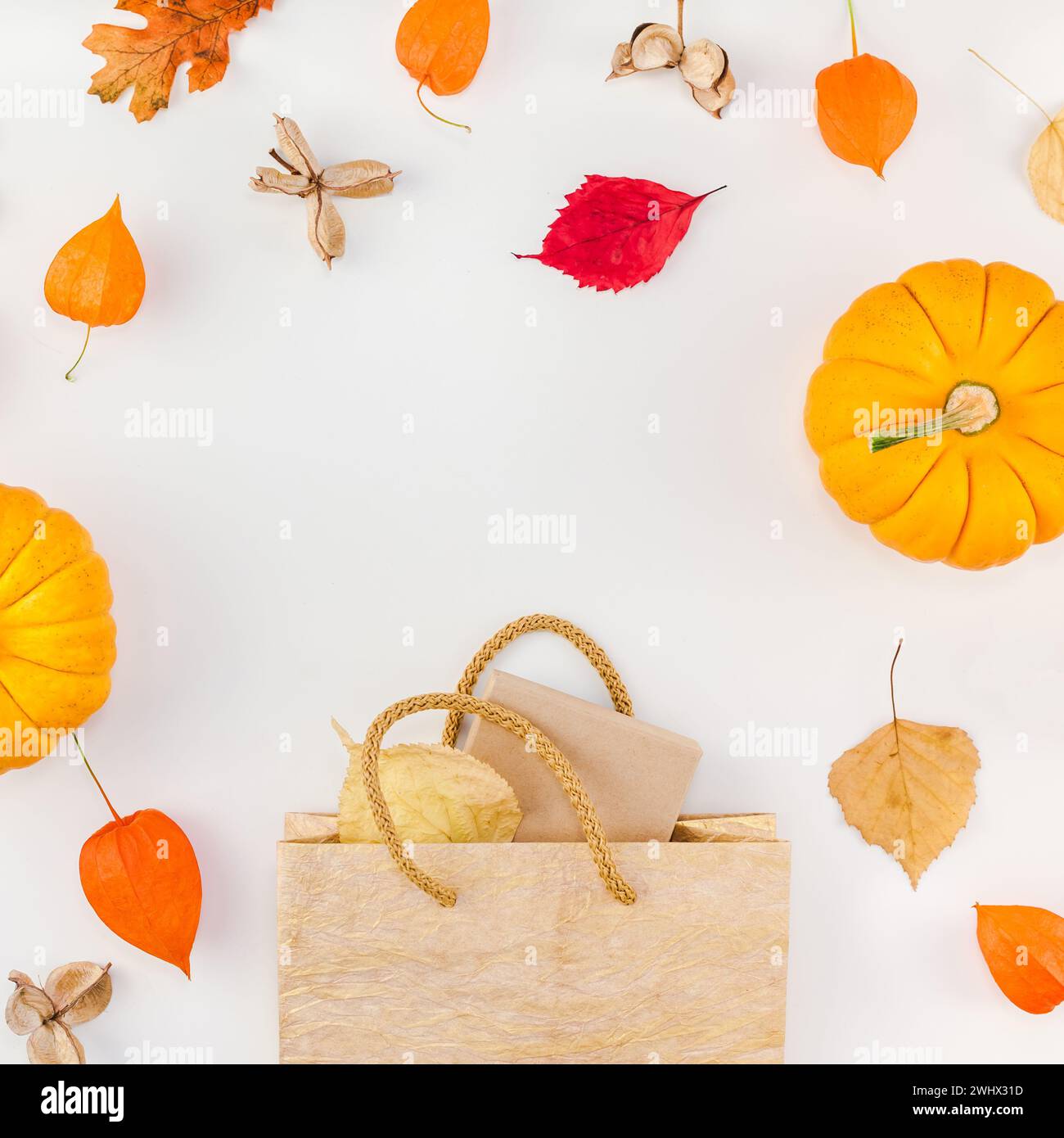 Promotion template autumn fall thanksgiving sale Stock Photo