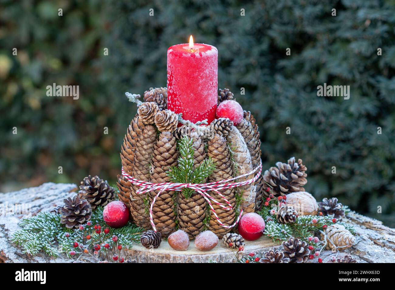 christmas decoration with a red candle and cones with white frost Stock ...