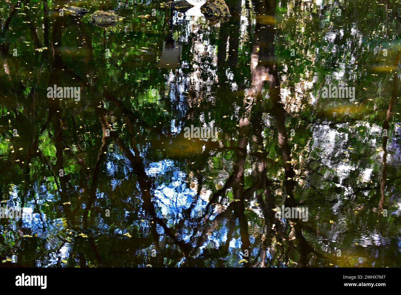 Mirror, Reflex, São Paulo, Brazil Stock Photo - Alamy