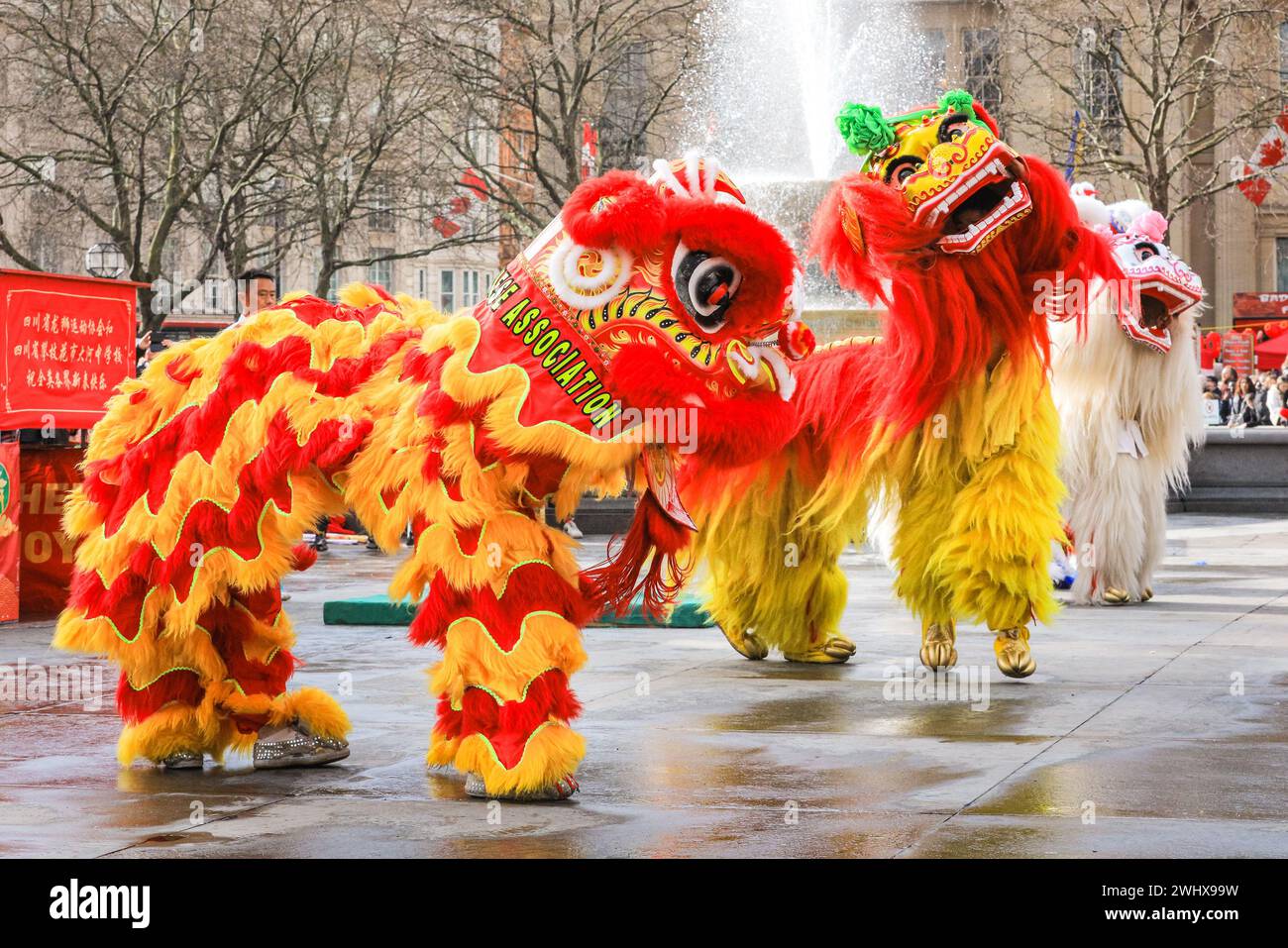 London, UK. 11th Feb, 2024. The programme includes a lion dance by the Chen Brothers and others. Festivities for the Chinese New Year on Trafalgar Square. 2024 is the Year of the Dragon in the Chinese calendar. The London festivities are amongst the largest Lunar New Year celebrations outside China. Credit: Imageplotter/Alamy Live News Stock Photo