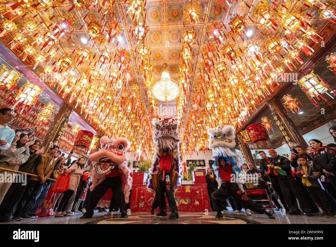 Los Angeles, United States. 11th Feb, 2024. Lion dancers perform at the