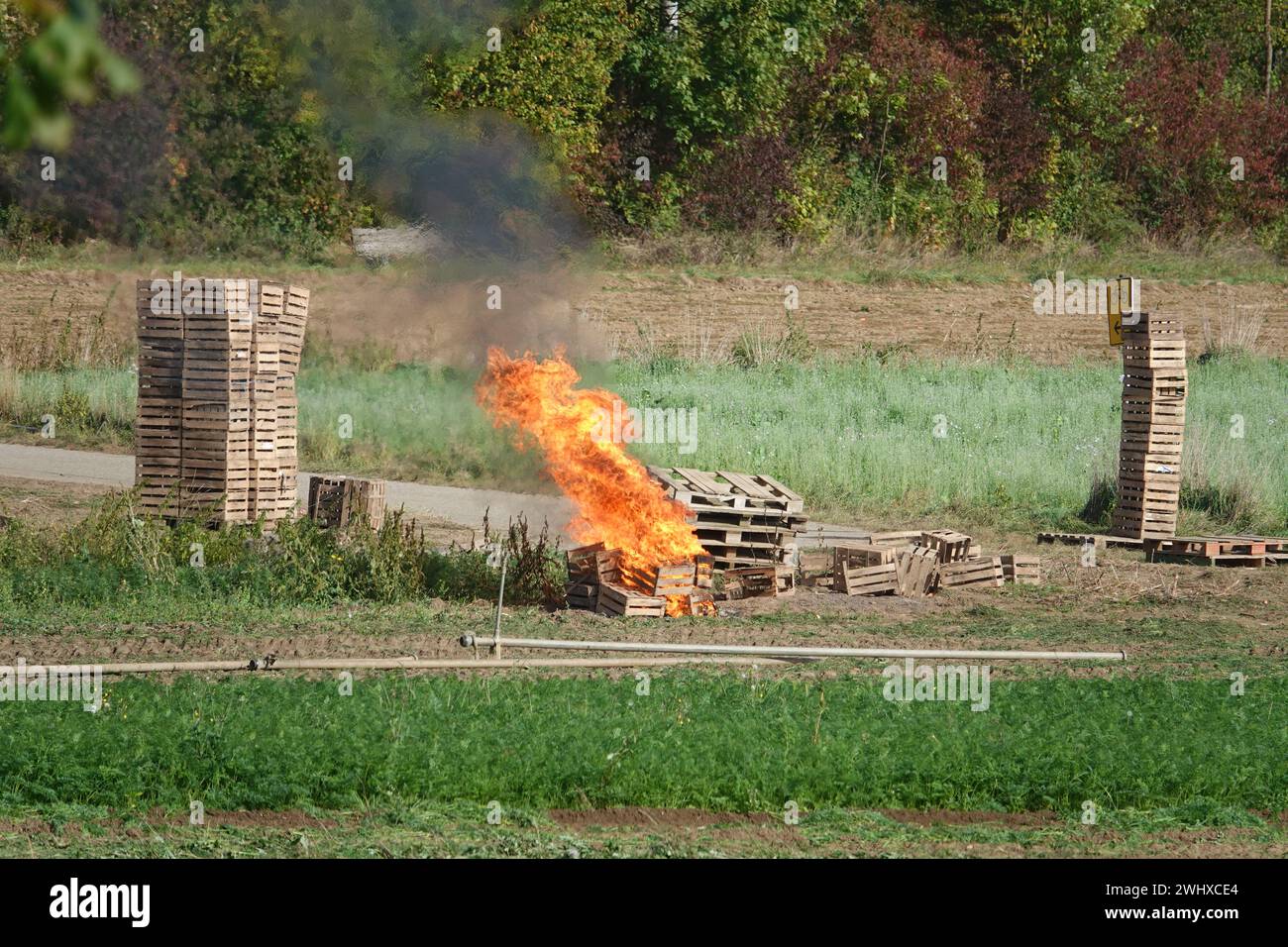Fire Stock Photo