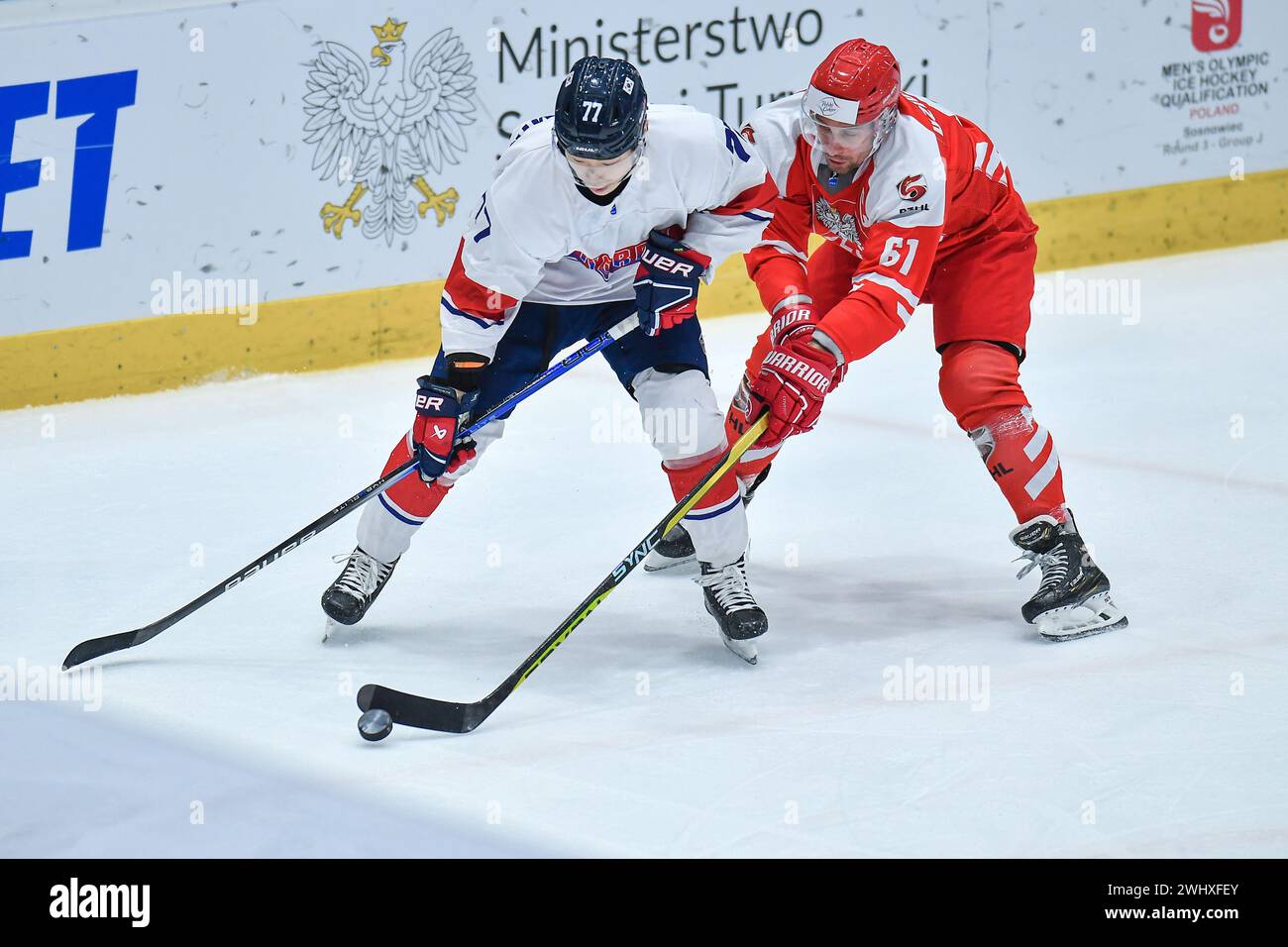 2024.02.11 Sosnowiec Hokej na lodzie Mezczyzn IIHF Turniej Pre-Kwalifikacyjny do Igrzysk Olimpijskich Sosnowiec 2024 Polska - Korea Poludniowa N/z Chong Min Lee, Krystian Dziubinski Foto Marcin Bulanda/PressFocus 2024.02.11 Sosnowiec Ice Hockey Men IIHF Olympic Ice Hockey Qualification Round 3 Group J Season 2024 Polska - Korea Poludniowa Chong Min Lee, Krystian Dziubinski Credit: Marcin Bulanda/PressFocus Credit: Sipa USA/Alamy Live News Stock Photo