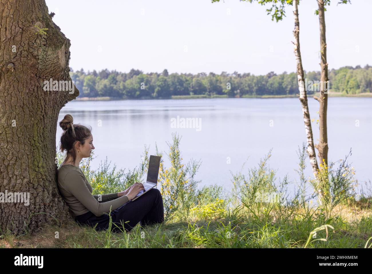 Remote Freelancer's Paradise Work Amidst Nature's Beauty Stock Photo