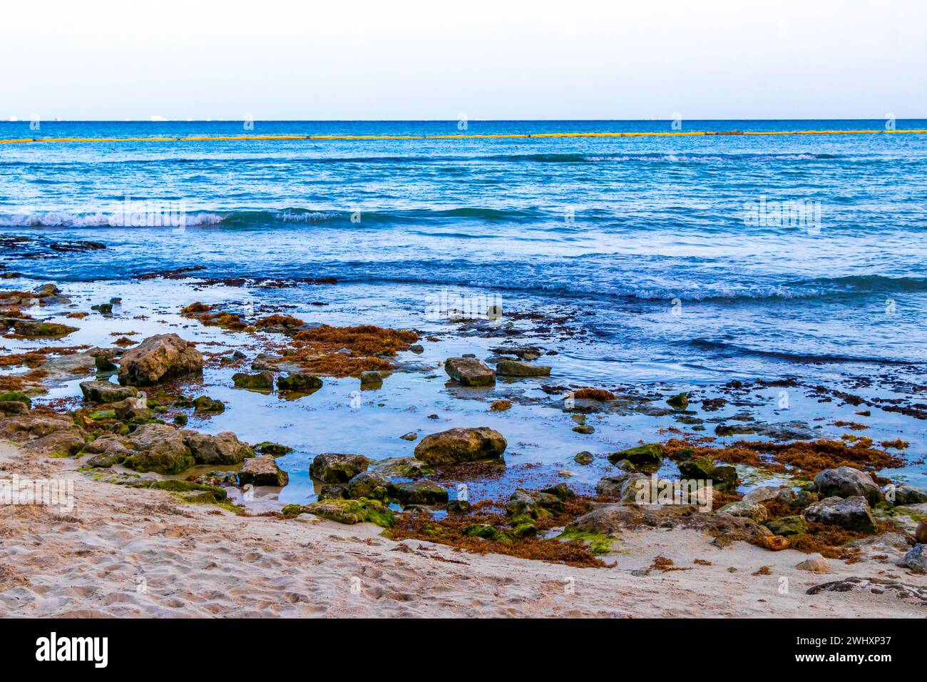 Stones rocks and corals in turquoise green and blue water on the beach ...