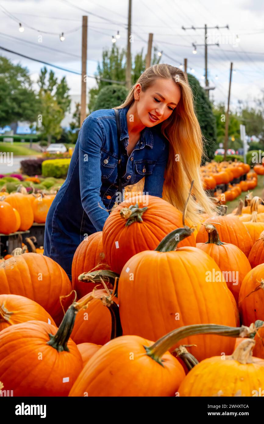 A Lovely Blonde European Model Enjoys Shopping For Pumpkins And Flowers For Halloween Holiday Stock Photo