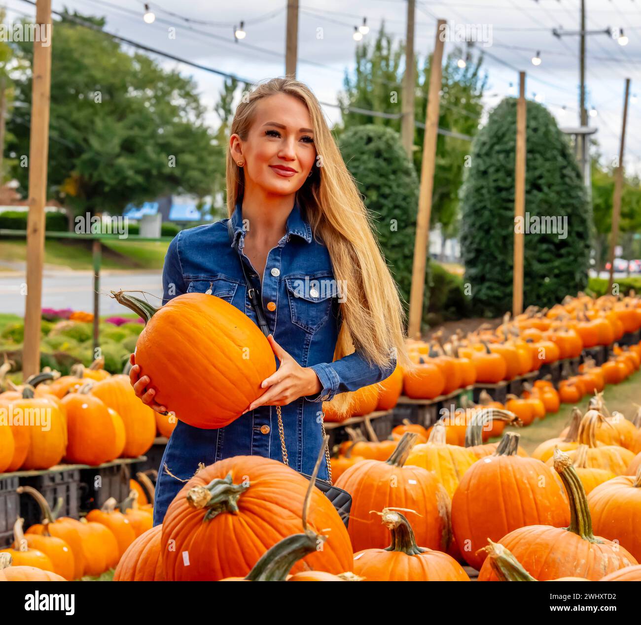 A Lovely Blonde European Model Enjoys Shopping For Pumpkins And Flowers For Halloween Holiday Stock Photo