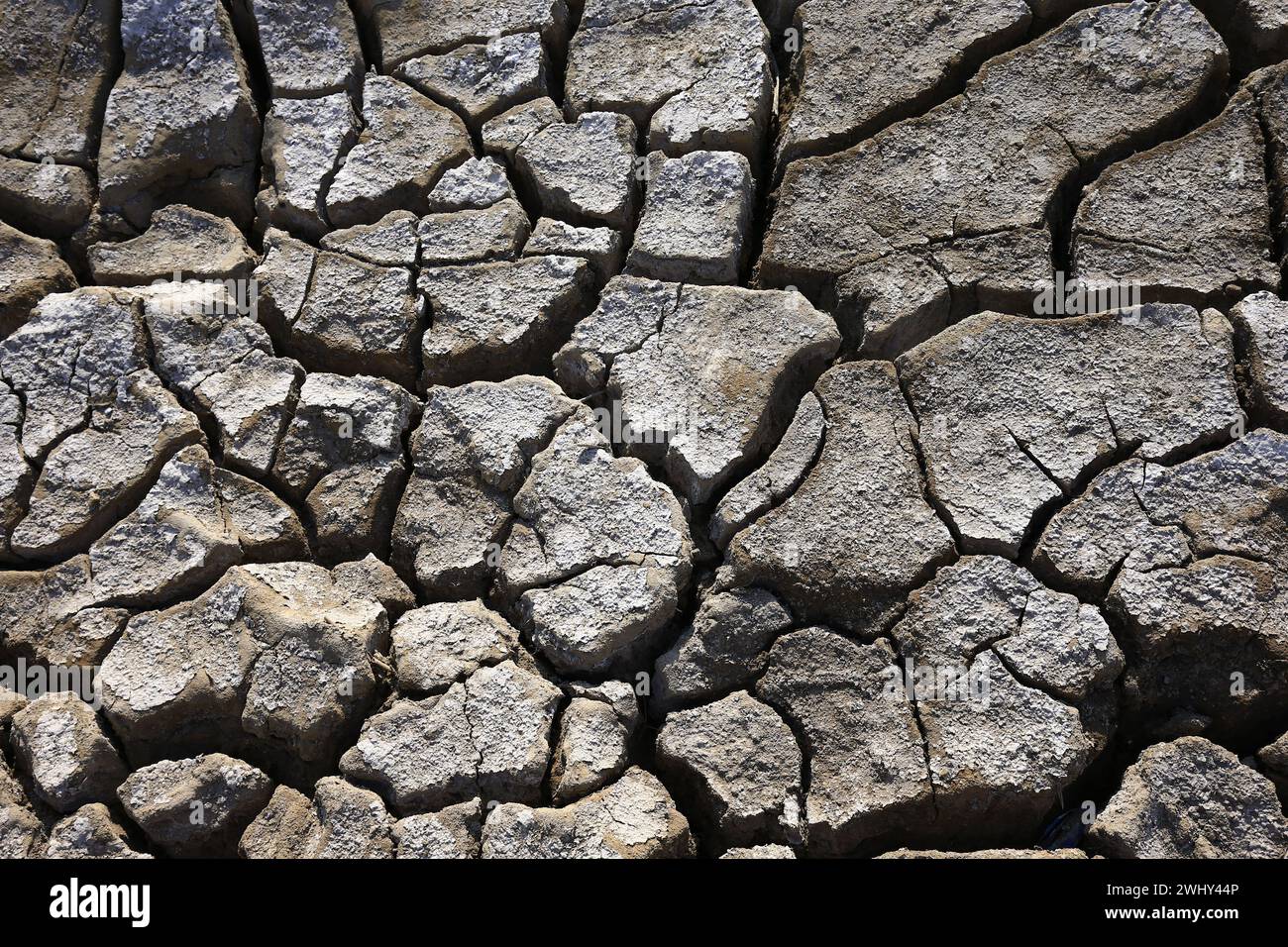 Climate warming dry chapped land Stock Photo - Alamy