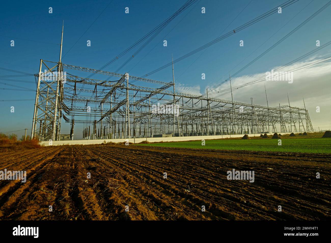 High voltage electric tower line Stock Photo - Alamy