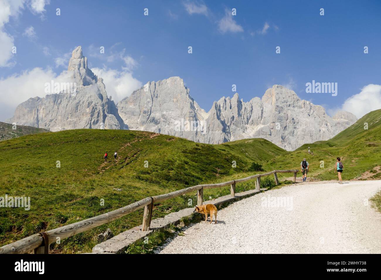 National Park Tre Cime di Lavaredo Dolomiti Stock Photo