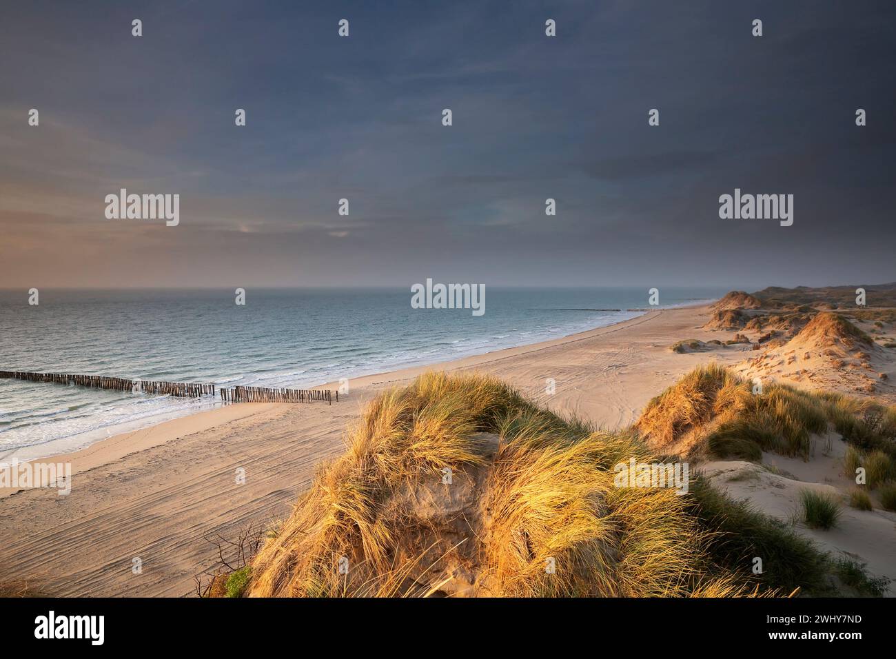 North sea beach view Stock Photo