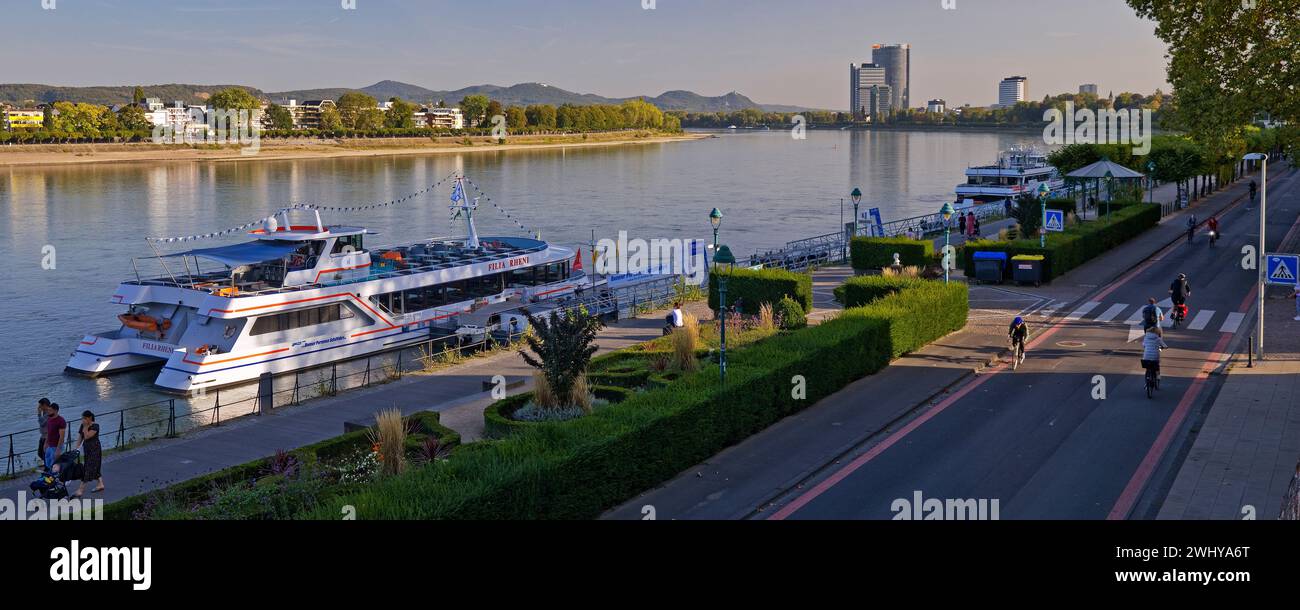 Rhine and Brassertufer with the catamaran Filia Rheni, Bonn, Rhineland, Germany, Europe Stock Photo