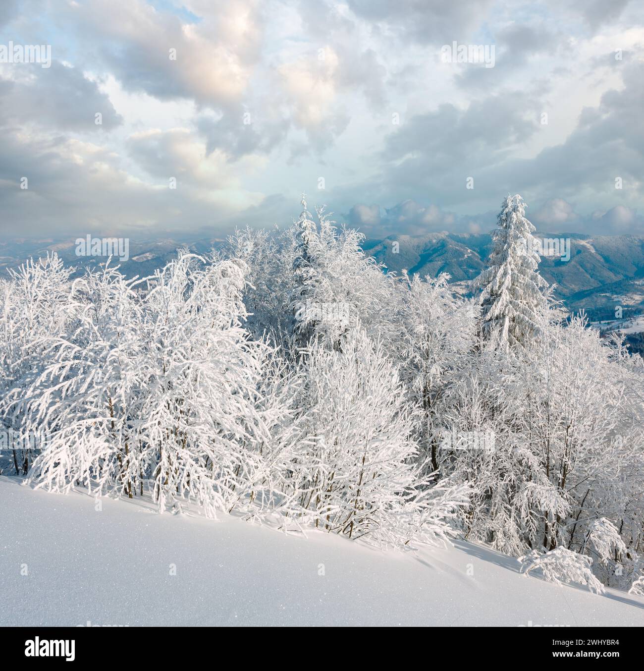 Winter mountain snowy landscape Stock Photo