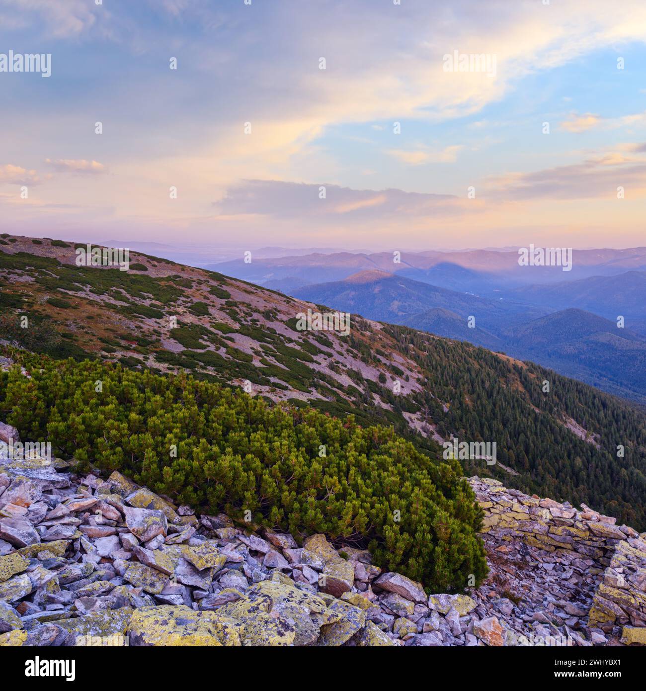 Summer Carpathian mountains evening view. Stony Gorgany massif, Ukraine. Stock Photo