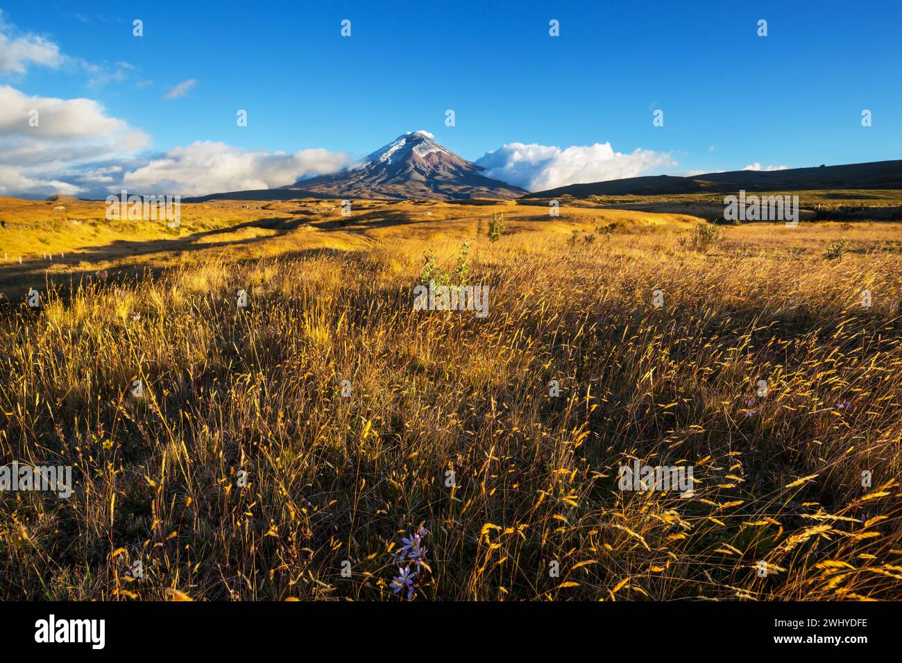 Climbing cotopaxi ecuador hi-res stock photography and images - Alamy