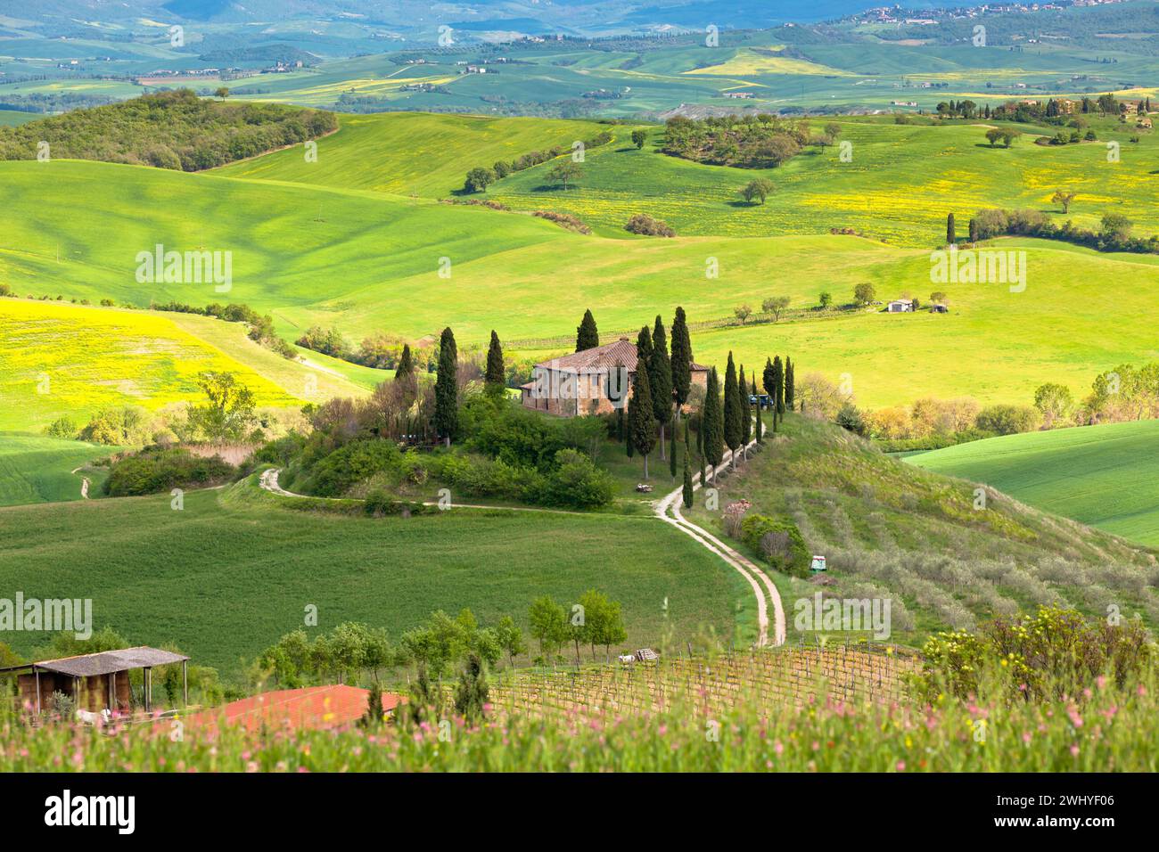 Farmhouse in Tuscany Stock Photo - Alamy