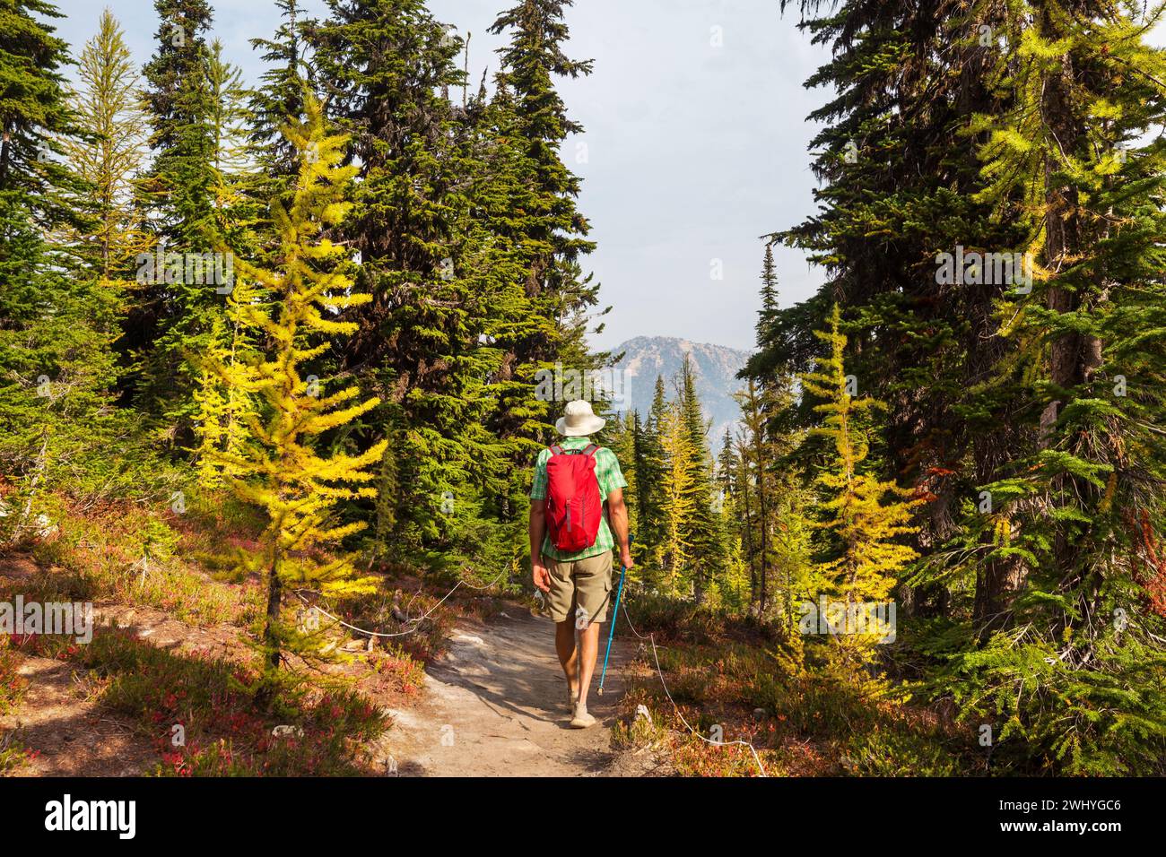 Hike in autumn season Stock Photo