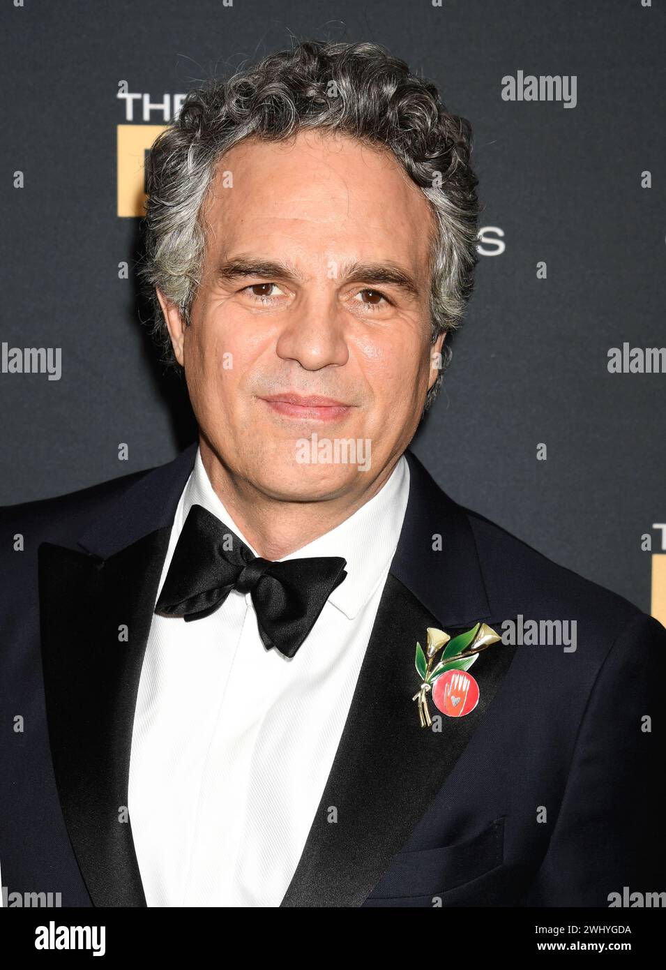 Beverly Hills, California, USA. 10th Feb, 2024. Mark Ruffalo attends ...