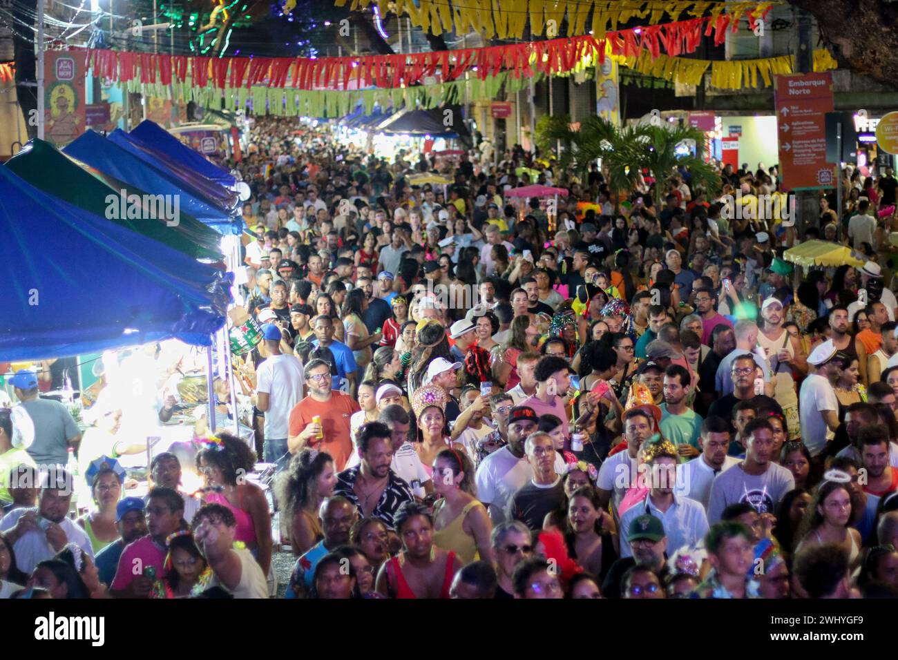 PE RECIFE 02 12 2024 RECIFE CARNIVAL 2024 Revelers During   Pe Recife 02122024 Recife Carnival 2024 Revelers During Recife Carnival In The Central Area Of The Capital Of Pernambuco This Sunday 11 Photo Marlon Costaagif Photo By Marlon Costaagifsipa Usa 2WHYGF9 