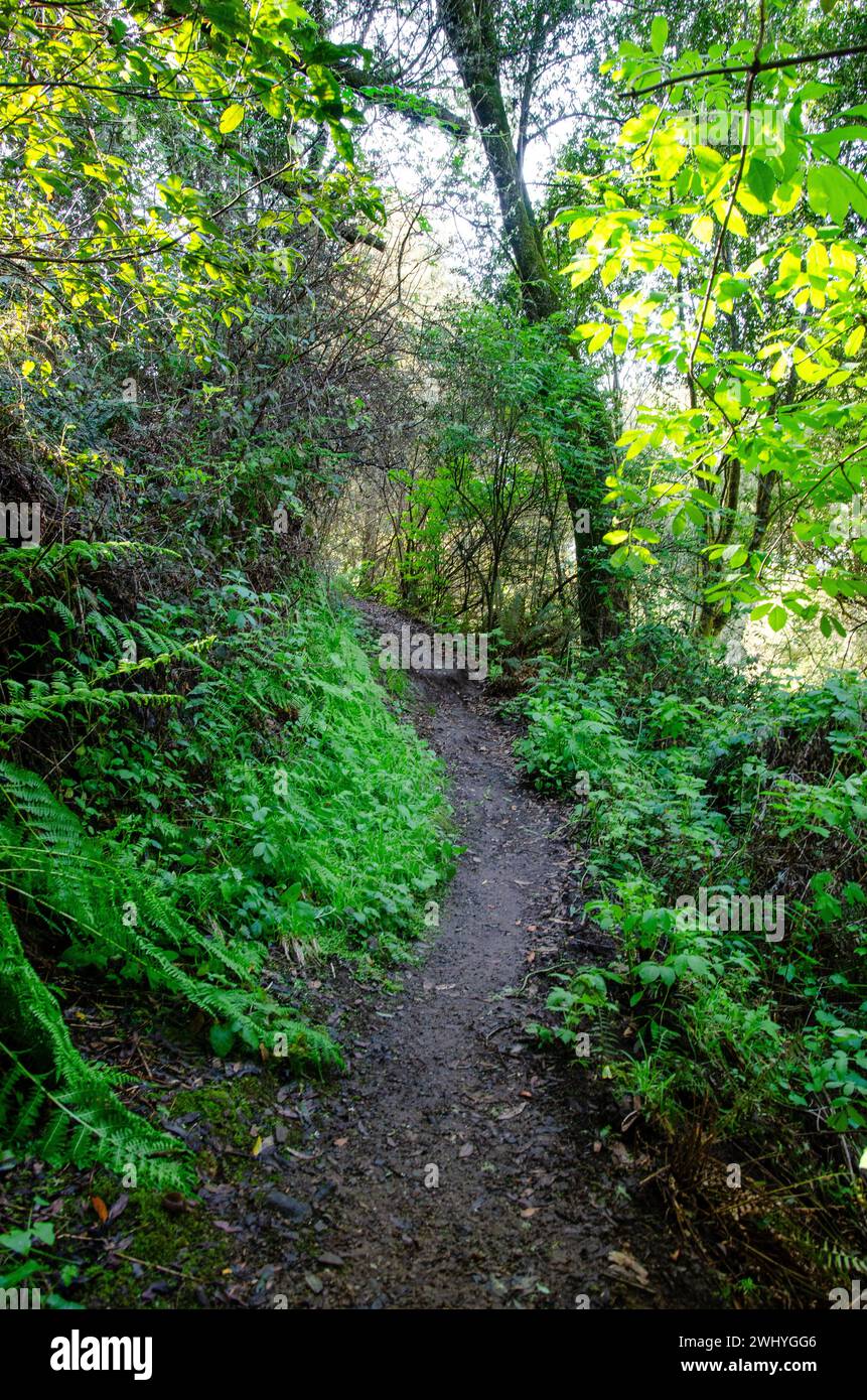Pomo Canyon, Northern California, Coastal landscapes, Hiking trails