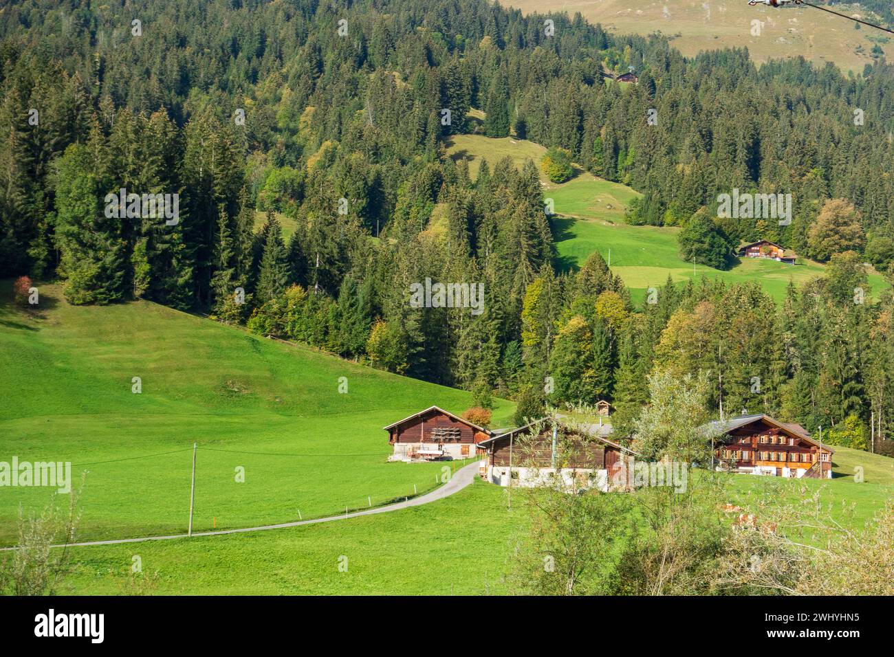 Autumn in the swiss alps Stock Photo - Alamy