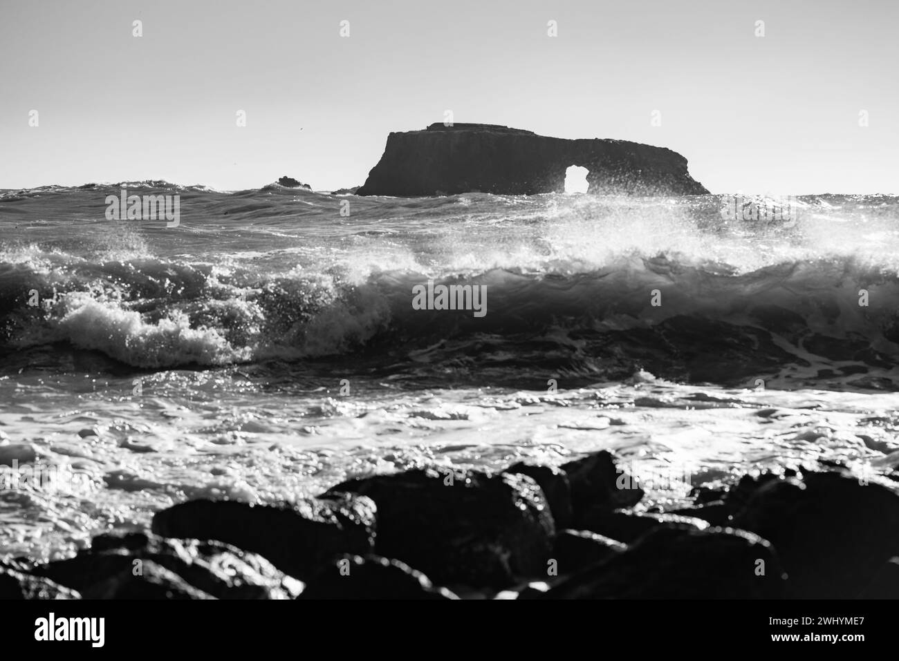 Goat Rock, Northern California, Seagull, Waves, Coastal beauty, Pacific Ocean, Rock formations, Coastal waves Stock Photo