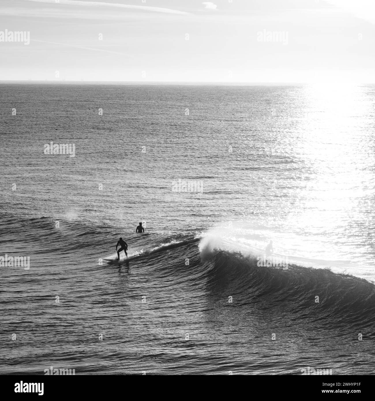 People, Surfing, Campus Point, UCSB, Early Morning Light, California Surfing Culture, Beautiful Waves, Coastal Lifestyle Stock Photo