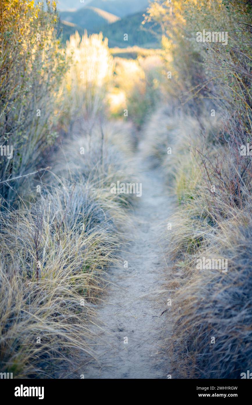 Welcoming, Hiking Trail, Soft Grass, California Chaparral, Lakeside, Central California, Nature, Scenic, Trailhead Stock Photo