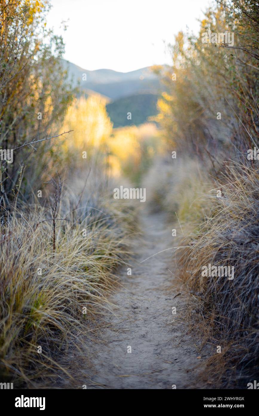 Welcoming, Hiking Trail, Soft Grass, California Chaparral, Lakeside, Central California, Nature, Scenic, Trailhead Stock Photo