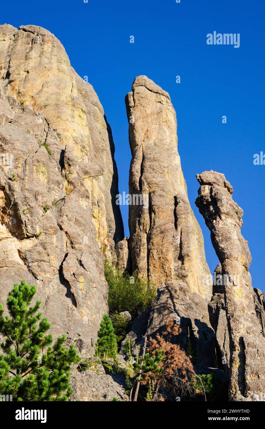 Rugged Overlook at the Black Hills in South Dakota, USA Stock Photo - Alamy