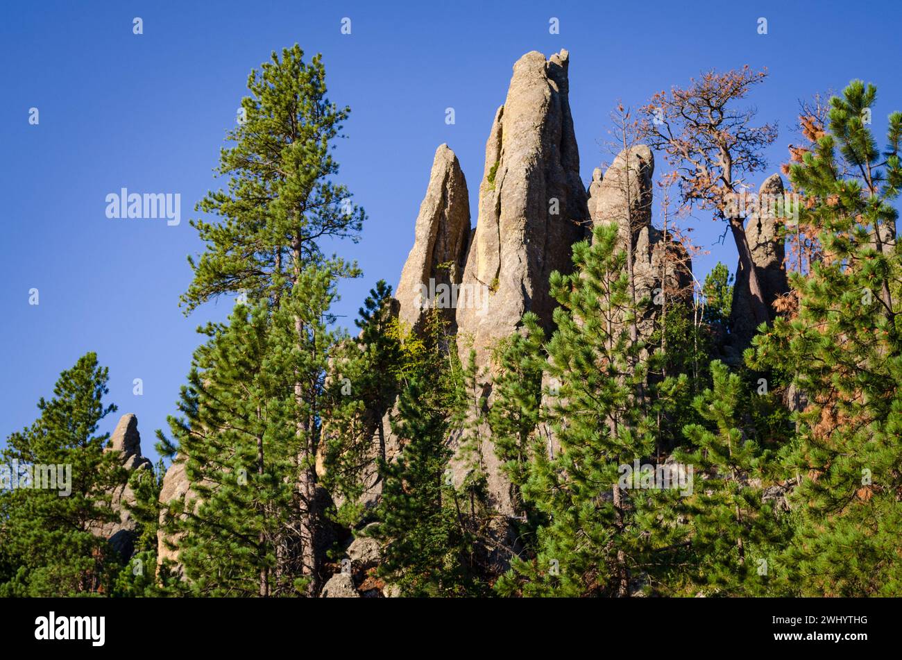 Rugged Overlook at the Black Hills in South Dakota, USA Stock Photo - Alamy