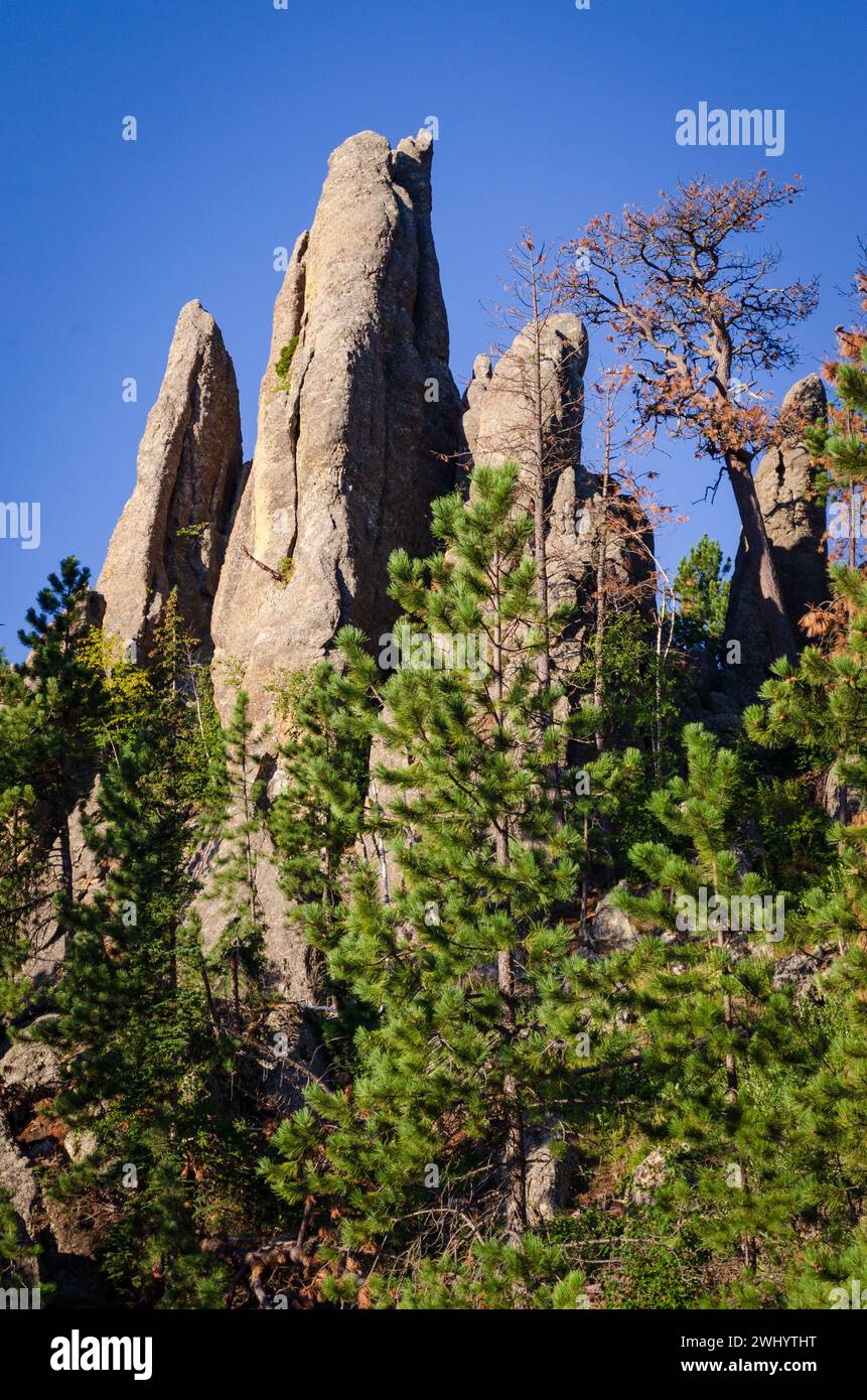 Rugged Overlook at the Black Hills in South Dakota, USA Stock Photo - Alamy
