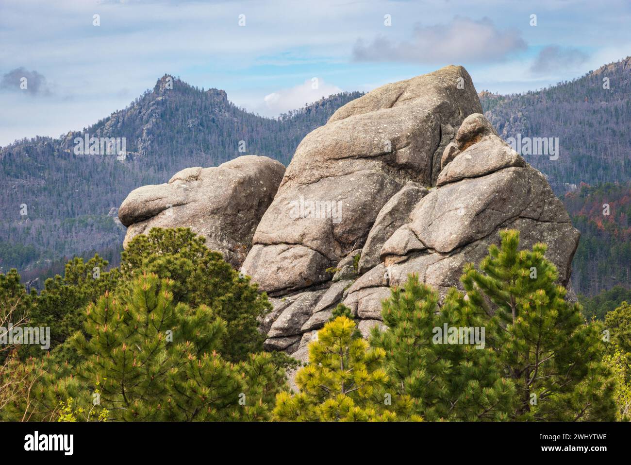 Rugged Overlook at the Black Hills in South Dakota, USA Stock Photo - Alamy