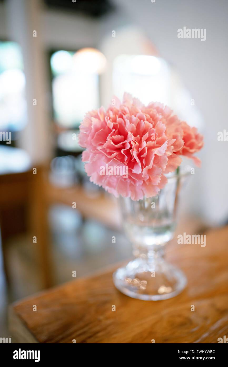 Home interior decor dried flowers in glass vase in Living room decoration. rustic brown wooden table restaurant cafe interior Stock Photo