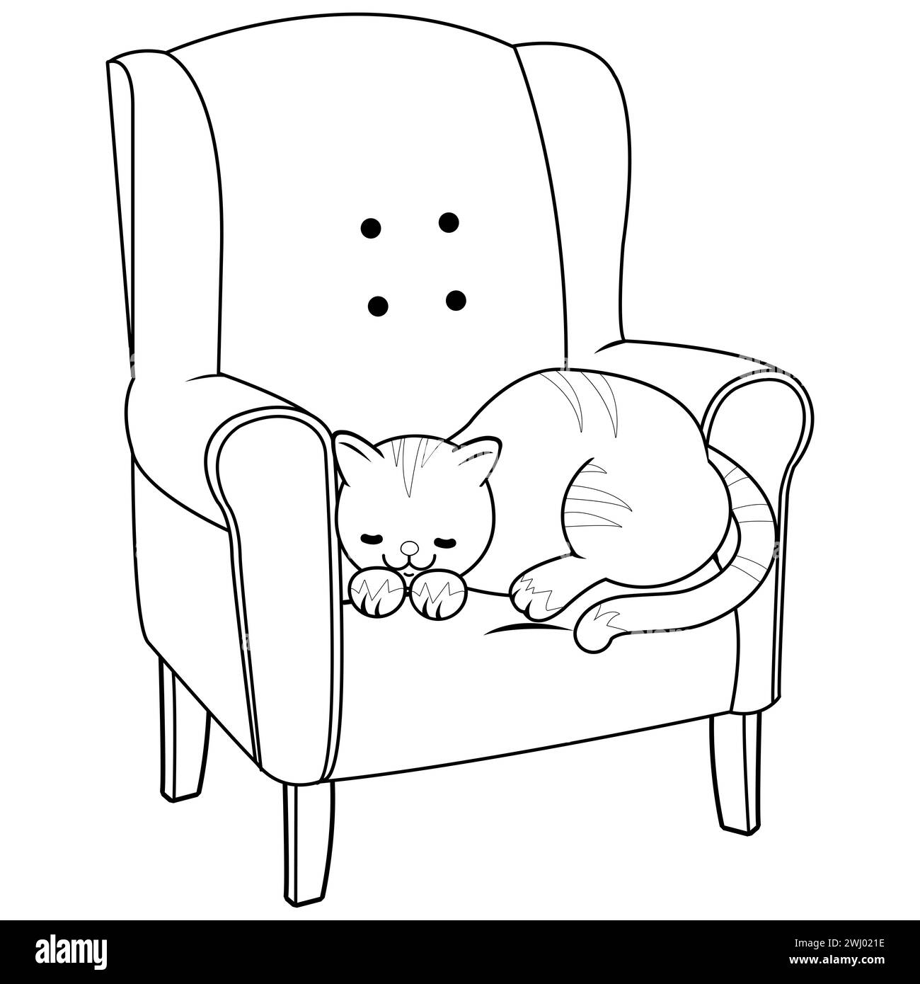 Cat sleeping in an armchair. Cute domestic cat at home taking a nap in