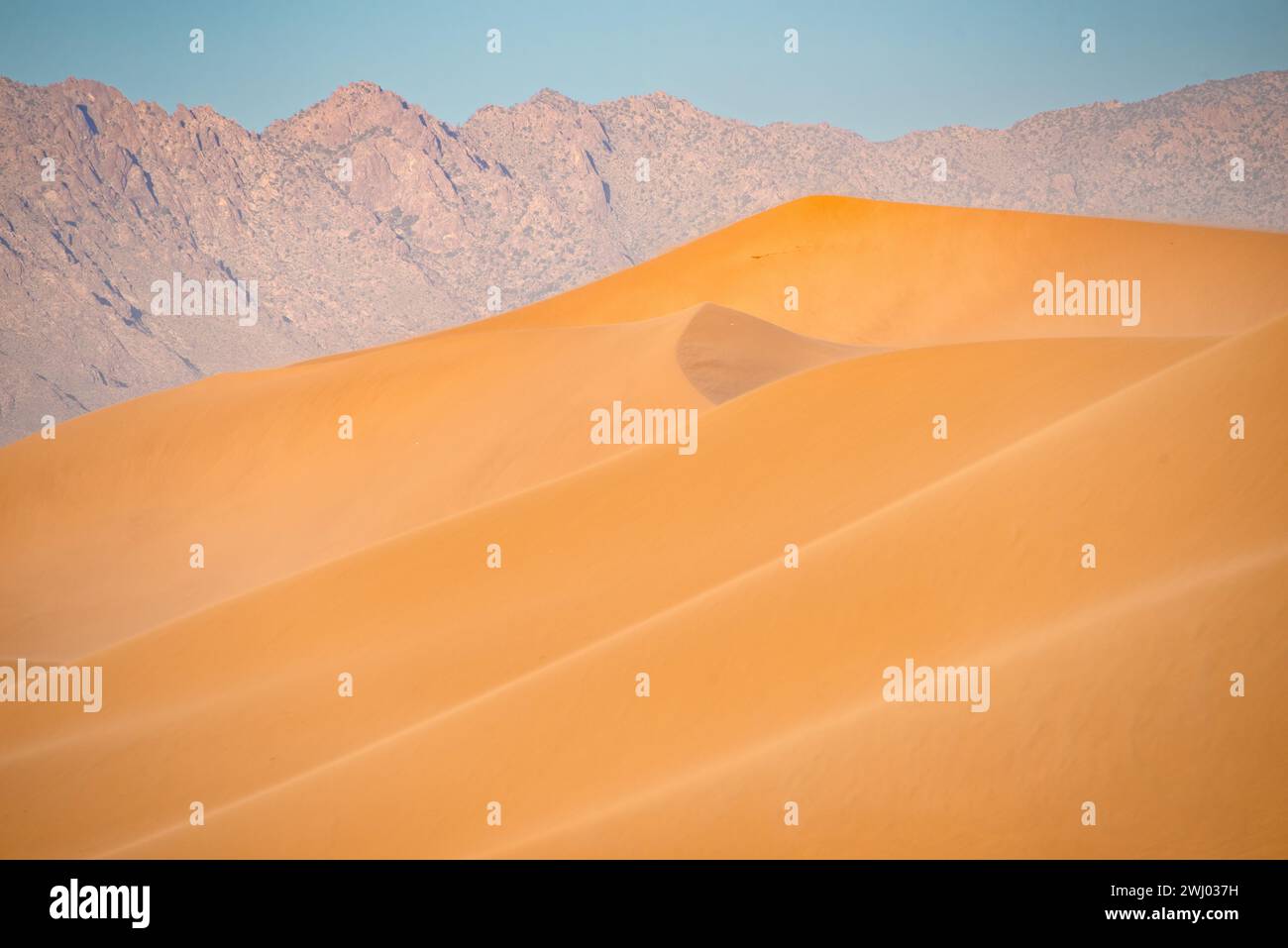 Dumont Sand Dunes, Inyo County California, Death Valley National Park, Sand Dunes, Sunset, Sand Dune Contours Stock Photo