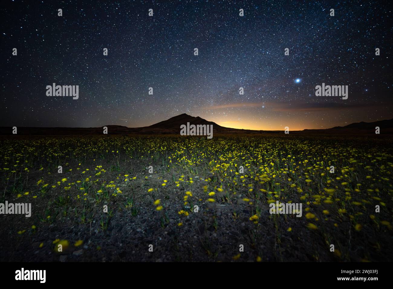 Milky Way, Desert Mountain, Solitude, Desert Wildflowers, Death Valley ...